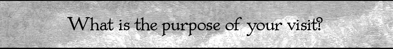 What is the purpose of your visit?